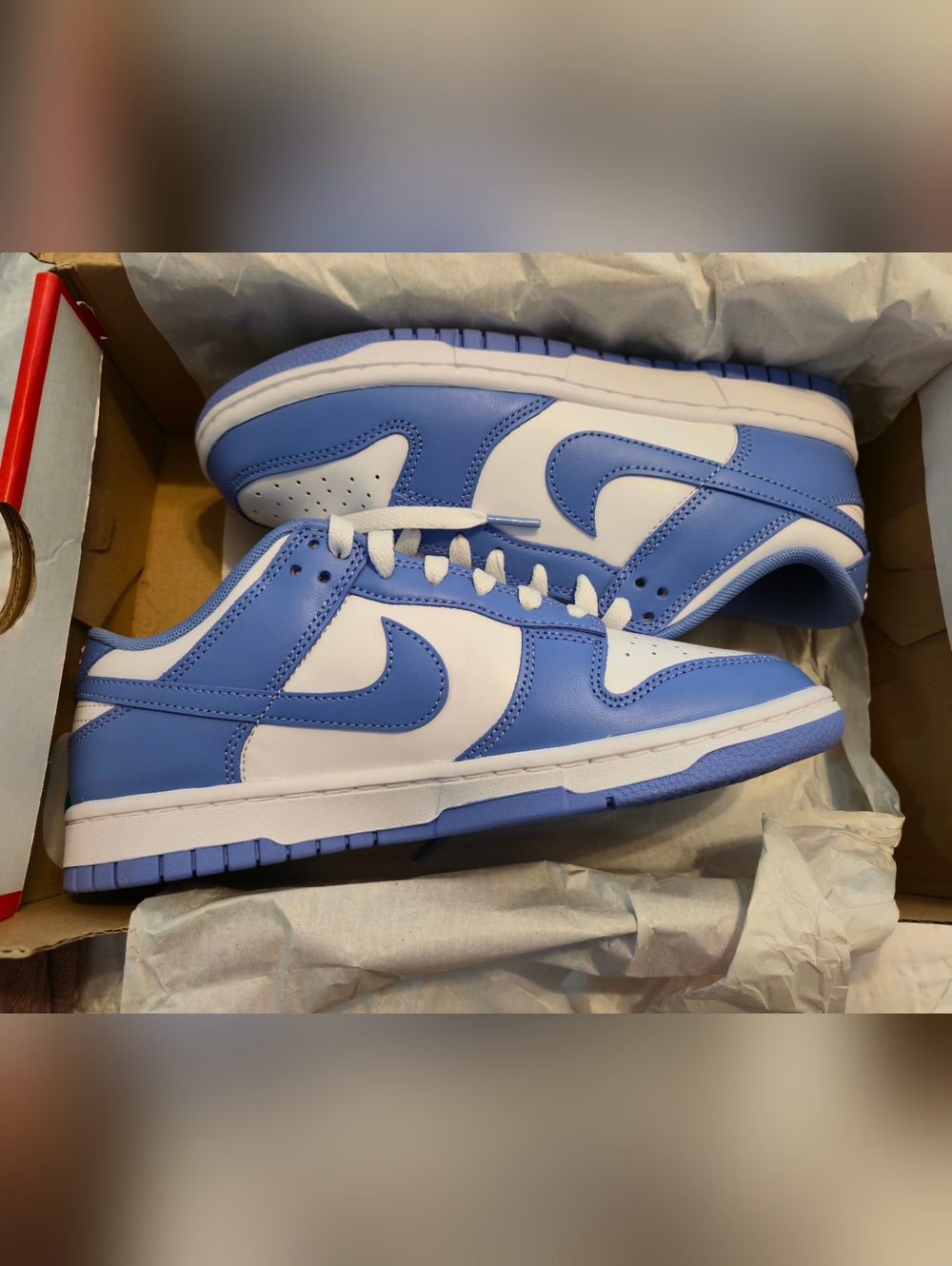 Nike Dunk Low Polar Blue
